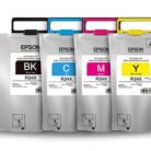 Tinta-Epson-TR24X120-R22X-Negro-75000-Pag.-WF-R8590.jpg