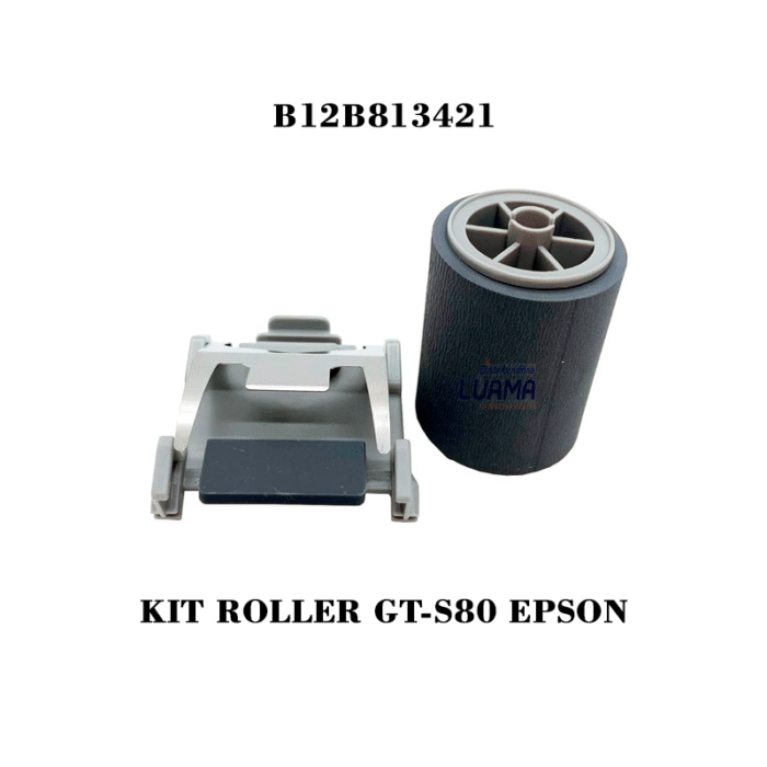 Kit de montaje de rodillos B12B813421 GT-S80 Epson-1