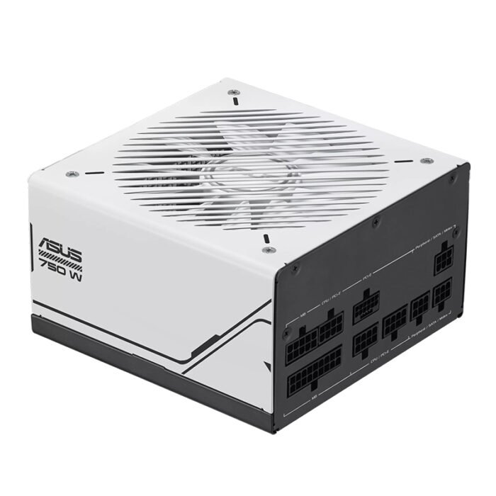 PSASAP-750G_1762364643