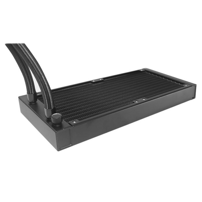 accpute8164n_1