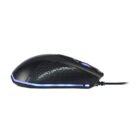 mscbkte1211g_1