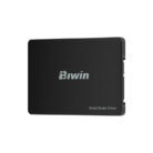 ssd256gbwm100