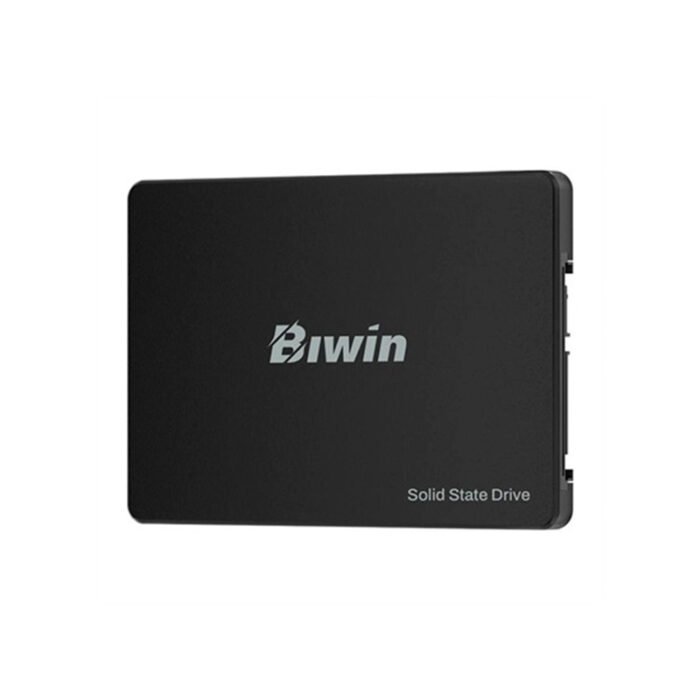 ssd256gbwm100_1